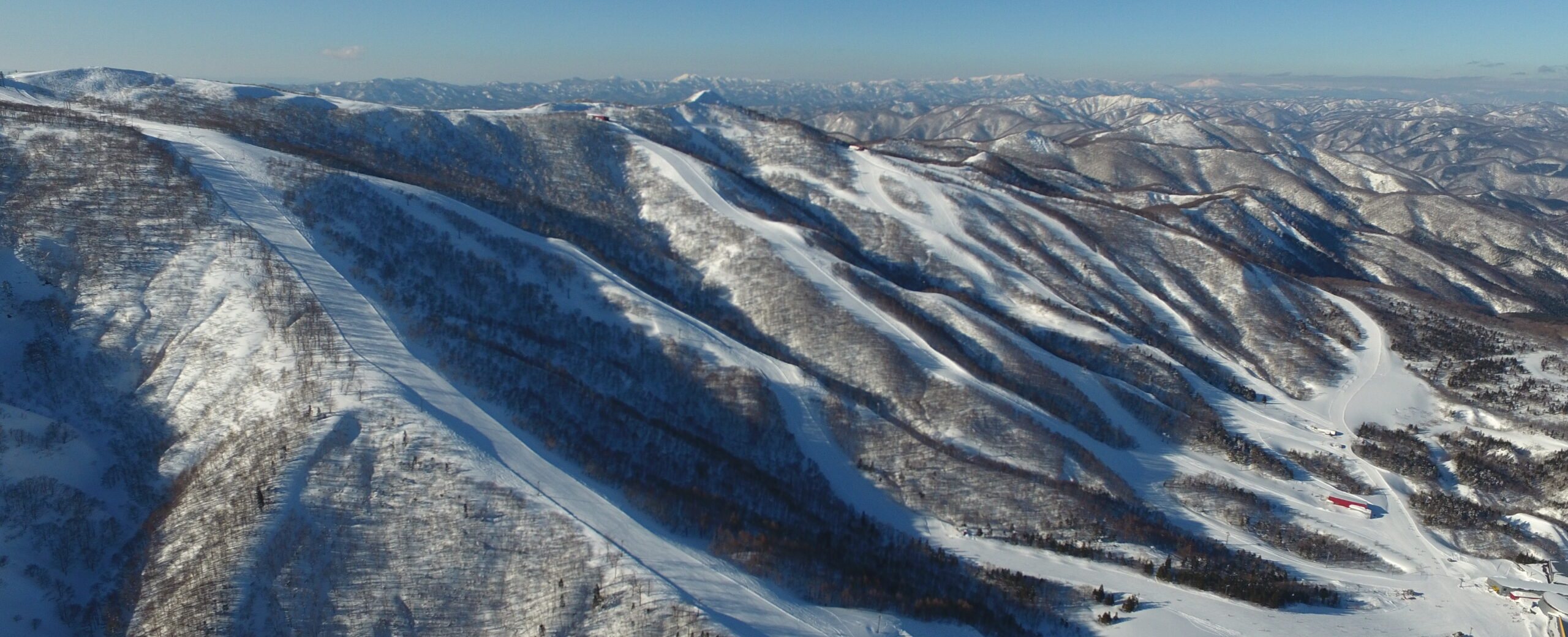 Japan&rsquo;s legendary snow-covered tree runs